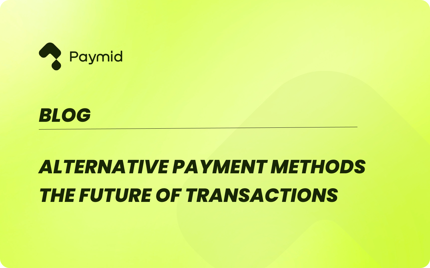 Alternative Payment Methods: The Future of Transactions | Paymid