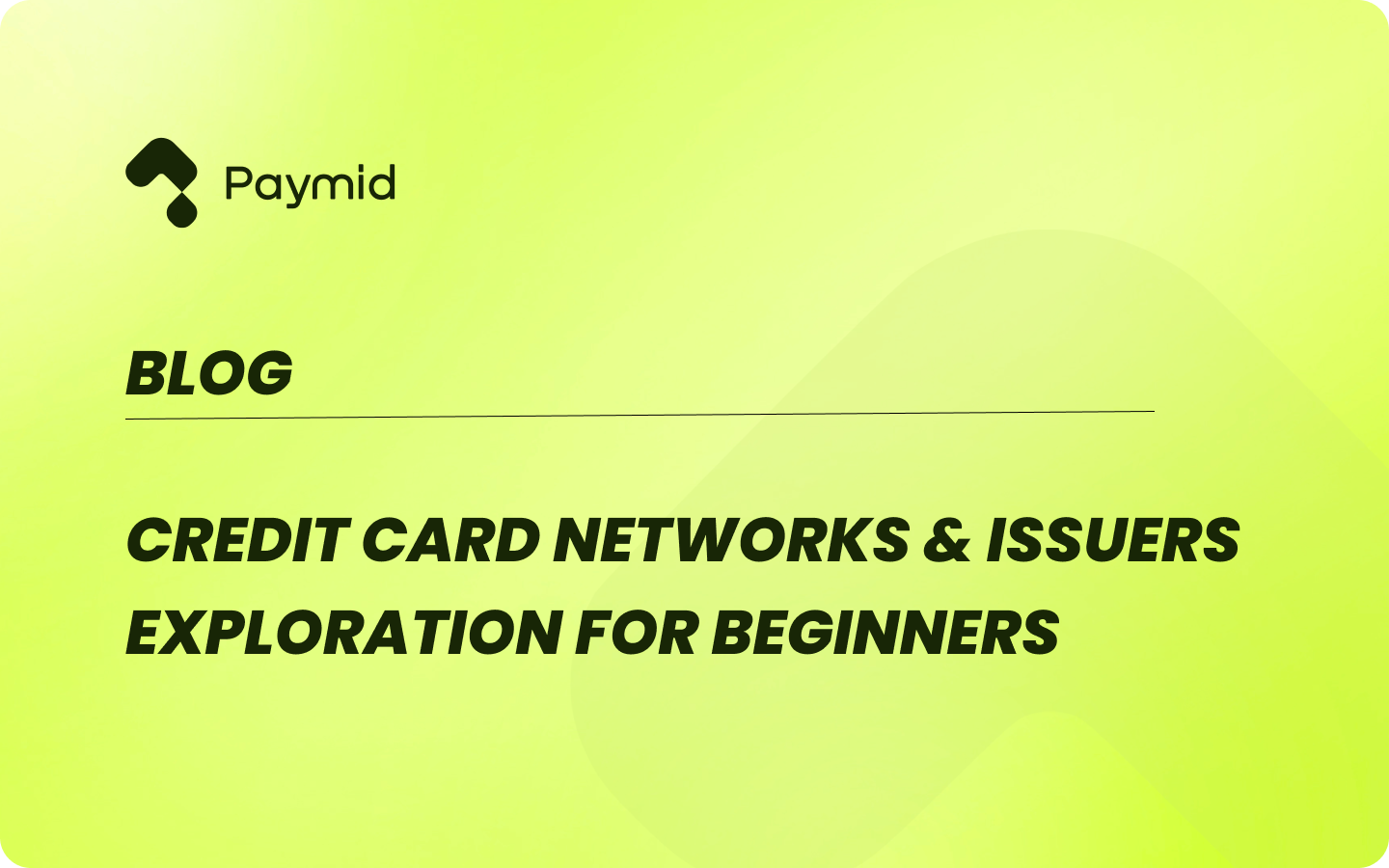 Credit Card Networks & Issuers Exploration for Beginners | Paymid